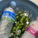 우정태권도교육관 이미지