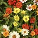 디자인풍경 - 마포구 동교로12길 3 | 디자인풍경