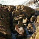 남해낚시 이미지