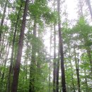 가리산자연휴양림 이미지