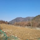 일조농장 이미지