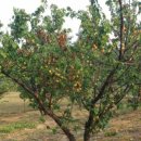 일상의 하루 이미지