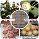 정형농장 이미지