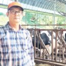 한솔목장 이미지