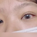 캣츠래쉬 이미지