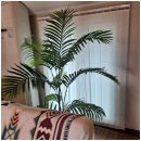 돌담 너머 하늘 이미지