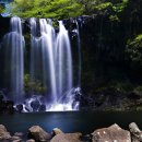 천제연폭포 이미지