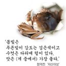 밥도둑 이미지