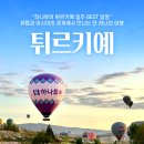 (주)티아이엠코리아