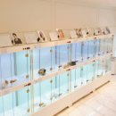 제이애견샵 이미지