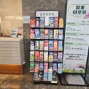 UR(서귀포시)-[태위로]-하-10 | 제주여행, 기깔났던 숙소 | 오션뷰 객실/조식뷔페/아쿠아나 후기 | 제주 서귀포 숙소 '금호제주리조트'