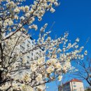 에스케이텔레콤 울진대리점 이미지