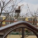 서초사랑약국 이미지