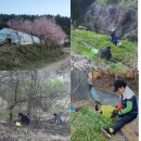 광적면 비암리