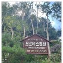 오르비스펜션 이미지