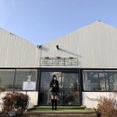 포레스트 랩(FOREST LAB) 이미지