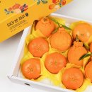 제주다움 - 서귀포시 금백조로134번길 26-9 | 제주다움