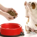 (주) 하나사료 이미지