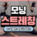 바디어스필라테스앤피티센텀