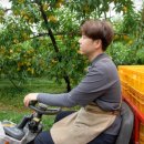 도도1농장 이미지