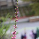 경인２４