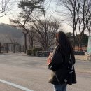 메이비캣