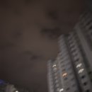 디올모텔 | 241221 ~ 241222 서울 여행 ✨