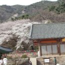 산정여관 이미지