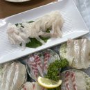 해성횟집 - 의정부시 호국로 1439 | [제주시청맛집] 제주시청횟집 찾으시면 무조건 해성횟집! 가성비 끝판왕 인정
