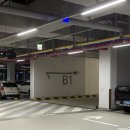 뮤베이크 | 세종 나성동 카페 뮤베이크 내돈내산 후기｜휘낭시에 디저트 맛집