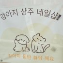 대백애견 | [경북/경산시]옥곡동 '네일봄' 패디네일 원톤한 후기 ㅣ 강아지상주 애견동반가능