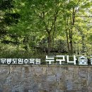 자연생태공원 부천식물원 이미지