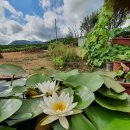 덕고개농장 이미지