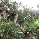 문식농장 이미지