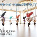 [ 접수 ]스카이요가쿨라♥ SKY(Flying) → Hatha(베이직) Teacher Training Course 이미지