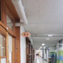 남양초등학교 | 남양초등학교 4학년 친구들과 하바리움 전구 조명 만들기 학교방문체험학습 진로체험 후기