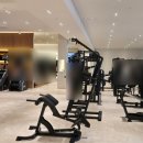 어뮤즈 | 고급진 인테리어와 최신 머신 구비된 보라동 헬스장 추천 어뮤즈피트니스 등록 후기