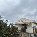 정원농장 | 제주 감귤 따기 체험 “귤빛정원 감귤체험농장” 내돈내산 솔직후기