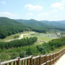 장호관광지 이미지