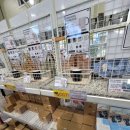 와이케이 더블유 이미지