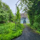 초록수채화 이미지