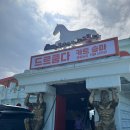 단비목장 | 제주 아이와 가볼 만한 곳 목장카페 드르쿰다 서귀포점에서 말타기와 카트체험