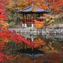 고창황금펜션 | 가을 단풍 여행 명소 BEST 10｜직접 다녀온 단풍 절정 시기·주차 꿀팁 총정리