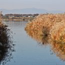 낙동강변8 이미지