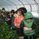 가남정보화마을 이미지