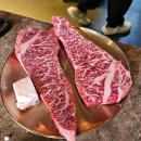 늘푸른 애견샵 이미지