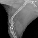 아띠 동물의료센터 이미지