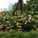 송도 해돋이공원 이미지