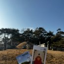 영월오아시스 글램핑 | '왕과 사는 남자' 청령포 장릉 영월 여행 방문 후기