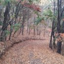 호수산장 관광농원 이미지